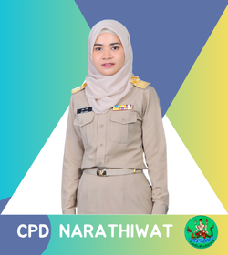 cp38