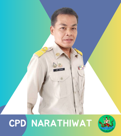 cp28