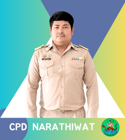 cp66