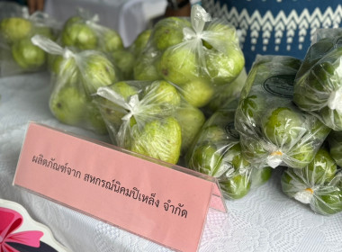 ร่วมจัดนิทรรศการในงาน “วันดินโลก” ... พารามิเตอร์รูปภาพ 6