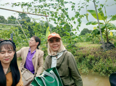 เข้าร่วมโครงการอบรมหลักสูตรศึกษาดูงานกระบวนการผลิตสินค้าเกษตรปลอดภัย และการเชื่อมโยงตลาดเกษตรปลอดภัย ภายใต้โครงการยกระดับมาตรฐานสินค้าเกษตร ... พารามิเตอร์รูปภาพ 3