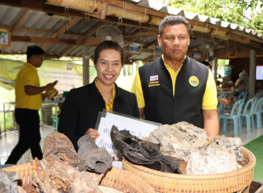 เข้าร่วมประชุมติดตามแผนการตรวจราชการของผู้ตรวราชการะกระทรวงเกษตรและสหกรณ์ ประจำปีงบประมาณ พ.ศ.2567 รอบที่ 2 ... พารามิเตอร์รูปภาพ 6