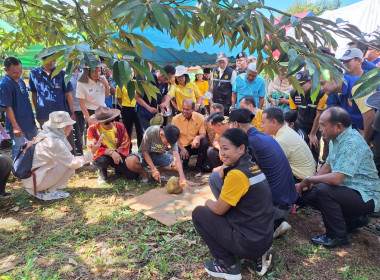 เข้าร่วมจัดเวที Focus group ... พารามิเตอร์รูปภาพ 3