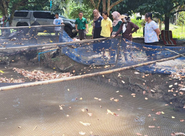 เข้าร่วมติดตามและประเมินผล ... พารามิเตอร์รูปภาพ 9