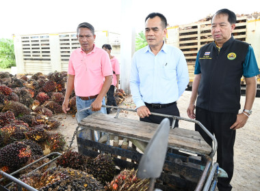 อธิบดีกรมส่งเสริมสหกรณ์ เป็นประธานในพิธีเปิดอาคารรวบรวมฯ ... พารามิเตอร์รูปภาพ 16