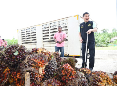 อธิบดีกรมส่งเสริมสหกรณ์ เป็นประธานในพิธีเปิดอาคารรวบรวมฯ ... พารามิเตอร์รูปภาพ 17