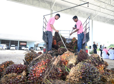 อธิบดีกรมส่งเสริมสหกรณ์ เป็นประธานในพิธีเปิดอาคารรวบรวมฯ ... พารามิเตอร์รูปภาพ 20