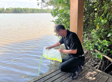 เข้าร่วมพิธีเปิดการฝึกอบรมเชิงปฏิบัติการ หลักสูตร ... พารามิเตอร์รูปภาพ 11