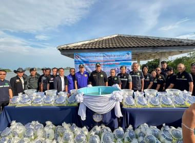 ร่วมให้การต้อนรับ นายอามินทร์ มะยูโซ๊ะ ... พารามิเตอร์รูปภาพ 8