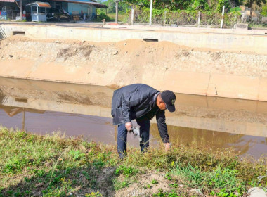 เข้าร่วม“กิจกรรมบำเพ็ญสาธารณประโยชน์” พารามิเตอร์รูปภาพ 13