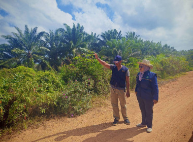 ลาดตระเวนป้องกันการเกิดเหตุไฟไหม้ตั้งแต่บริเวณสะพานในพื้นที่หมู่ที่ 4 บ้านโคกสิแด ... พารามิเตอร์รูปภาพ 4