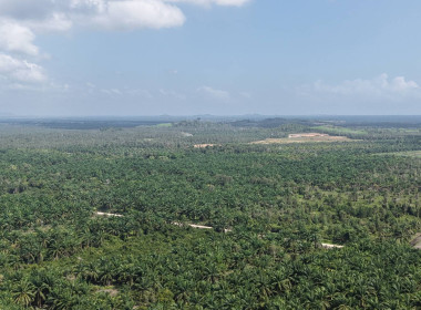 ลงพื้นที่ปฏิบัติภารกิจลาดตระเวนและเฝ้าระวังรักษาความสงบเรียบร้อยในพื้นที่นิคม ... พารามิเตอร์รูปภาพ 1