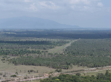 ลงพื้นที่ปฏิบัติภารกิจลาดตระเวนและเฝ้าระวังรักษาความสงบเรียบร้อยในพื้นที่นิคม ... พารามิเตอร์รูปภาพ 3