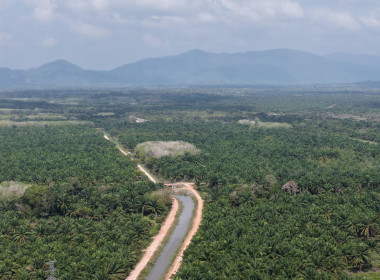 ลงพื้นที่ปฏิบัติภารกิจลาดตระเวนและเฝ้าระวังรักษาความสงบเรียบร้อยในพื้นที่นิคม ... พารามิเตอร์รูปภาพ 2