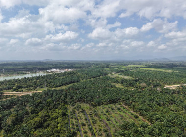 ลงพื้นที่ปฏิบัติภารกิจลาดตระเวนและเฝ้าระวังรักษาความสงบเรียบร้อยในพื้นที่นิคม ... พารามิเตอร์รูปภาพ 5