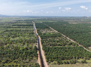 ลงพื้นที่ปฏิบัติภารกิจลาดตระเวนและเฝ้าระวังรักษาความสงบเรียบร้อยในพื้นที่นิคม ... พารามิเตอร์รูปภาพ 5