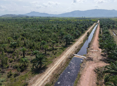 ลงพื้นที่ปฏิบัติภารกิจลาดตระเวนและเฝ้าระวังรักษาความสงบเรียบร้อยในพื้นที่นิคม ... พารามิเตอร์รูปภาพ 4