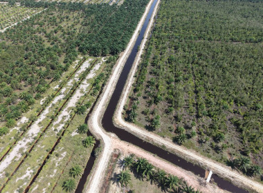 ลงพื้นที่ปฏิบัติภารกิจลาดตระเวนและเฝ้าระวังรักษาความสงบเรียบร้อยในพื้นที่นิคม ... พารามิเตอร์รูปภาพ 3