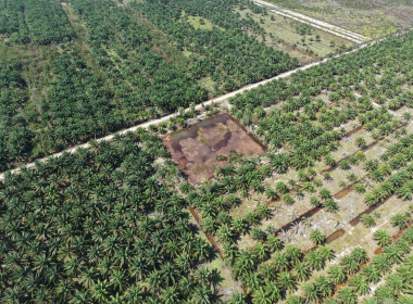 ลงพื้นที่ปฏิบัติภารกิจลาดตระเวนและเฝ้าระวังรักษาความสงบเรียบร้อยในพื้นที่นิคม ... พารามิเตอร์รูปภาพ 1