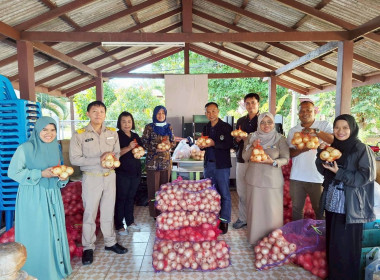 สำนักงานสหกรณ์จังหวัดนราธิวาส ช่วยกระจายหอมหัวใหญ่ พารามิเตอร์รูปภาพ 1