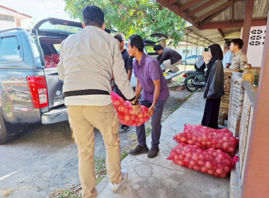 สำนักงานสหกรณ์จังหวัดนราธิวาส ช่วยกระจายหอมหัวใหญ่ พารามิเตอร์รูปภาพ 2