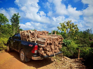 ลาดตระเวนป้องกันการเกิดเหตุไฟไหม้บริเวณพื้นที่นิคมสหกรณ์ปิเหล็ง ... พารามิเตอร์รูปภาพ 6