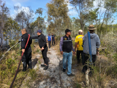 นายธัชพงศ์ บัวนุช สหกรณ์จังหวัดนราธิวาส ... พารามิเตอร์รูปภาพ 1