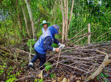 ลงพื้นที่ตรวจสอบพื้นที่สงวนเพื่อกิจการนิคมในเขตนิคมสหกรณ์ปิเหล็ง ... พารามิเตอร์รูปภาพ 5