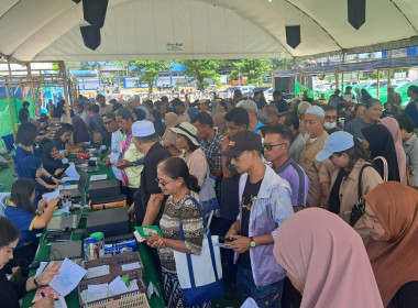 กิจกรรมไทยช่วยไทยลดภาระปัจจัยการผลิต: ธงเขียวราคาประหยัดพลัส พารามิเตอร์รูปภาพ 5